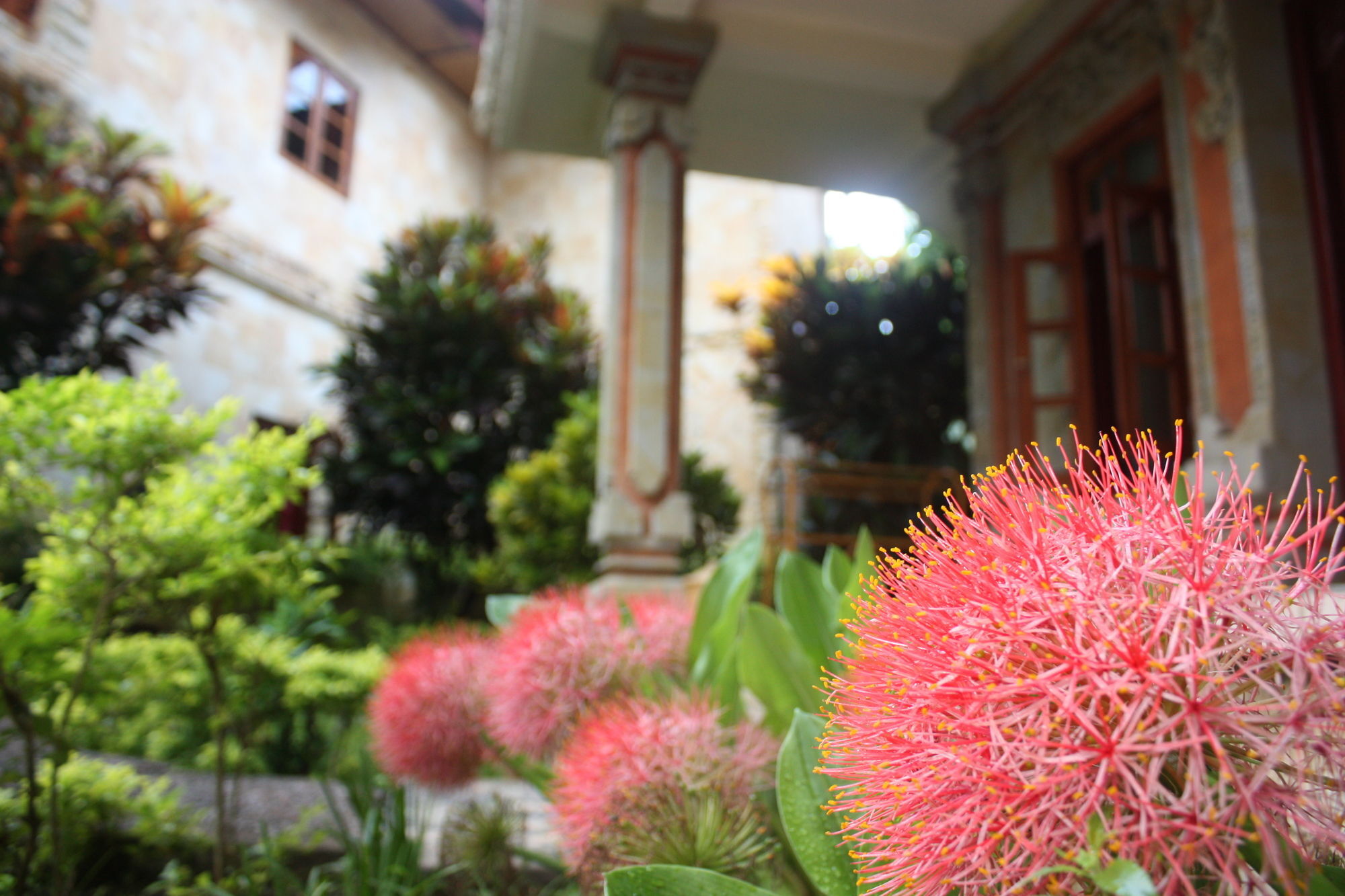 Rambutan Hotel Lovina Dış mekan fotoğraf